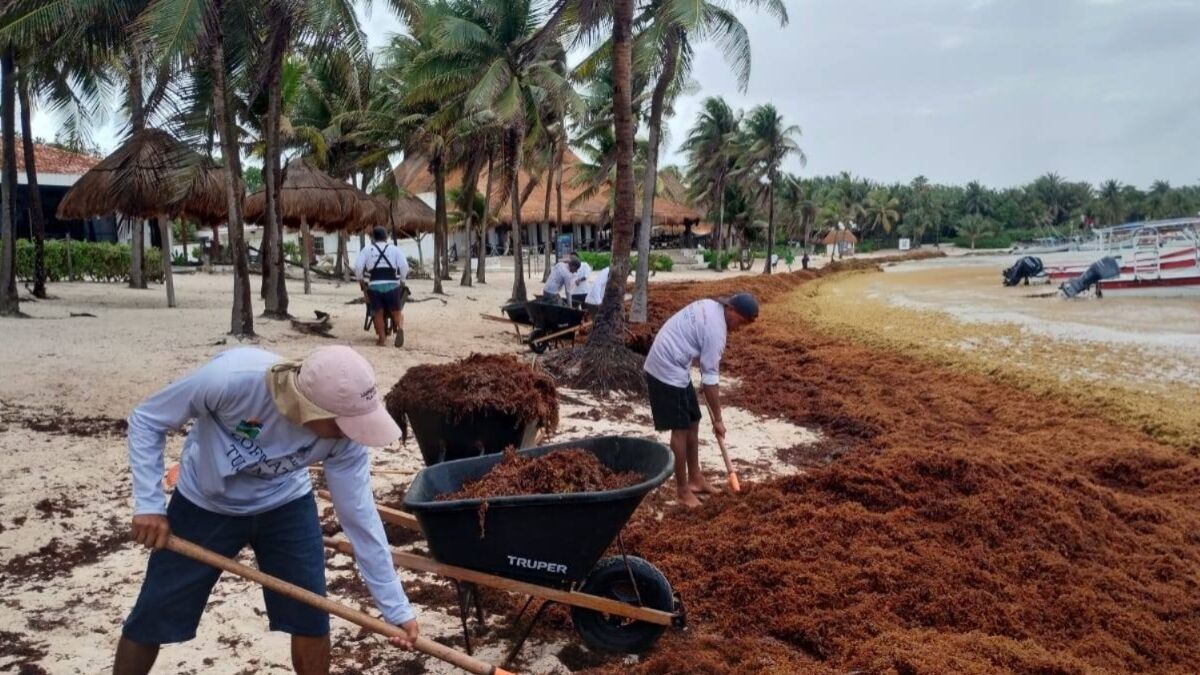 ab166338-62d4-475e-8bfa-5906d6cd4fe6