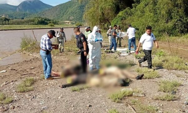 4dead293-5295-4a89-b7f3-ab84cde19594-1