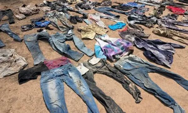 515438223 122143237040771635 337977471099851758 n