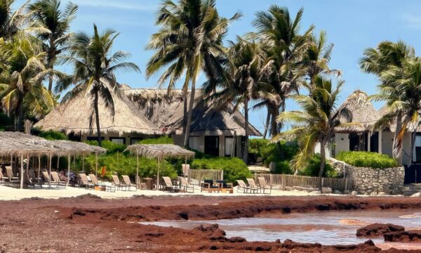 517117885 1153927346781752 2355309380845371256 n