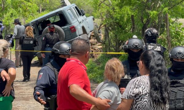 518054782 1331482028926681 7478858525612735981 n