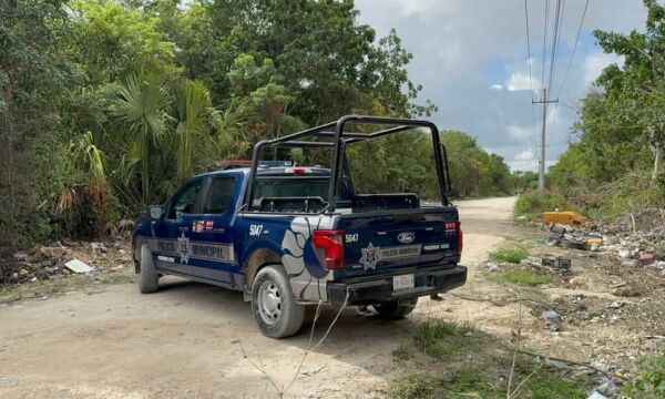 518172560 1151697393667503 5946917877924404704 n