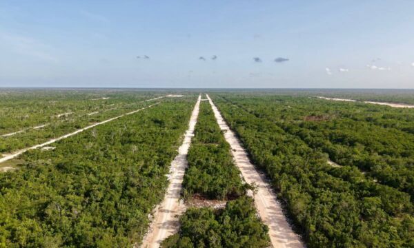 518320964 1399907968371453 4326726664944704796 n