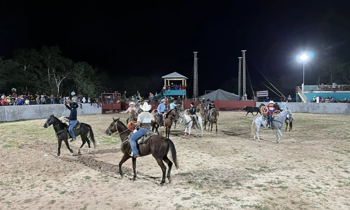 520423143 1335804068067404 8482059848329967759 n