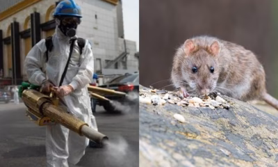 VRCBH4LX7BBVRDPU4SN4APKTLI