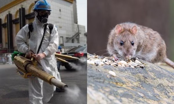 VRCBH4LX7BBVRDPU4SN4APKTLI