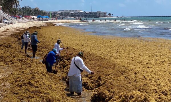 b7c5addc-ade5-4fb8-806e-6bdfc34eed56