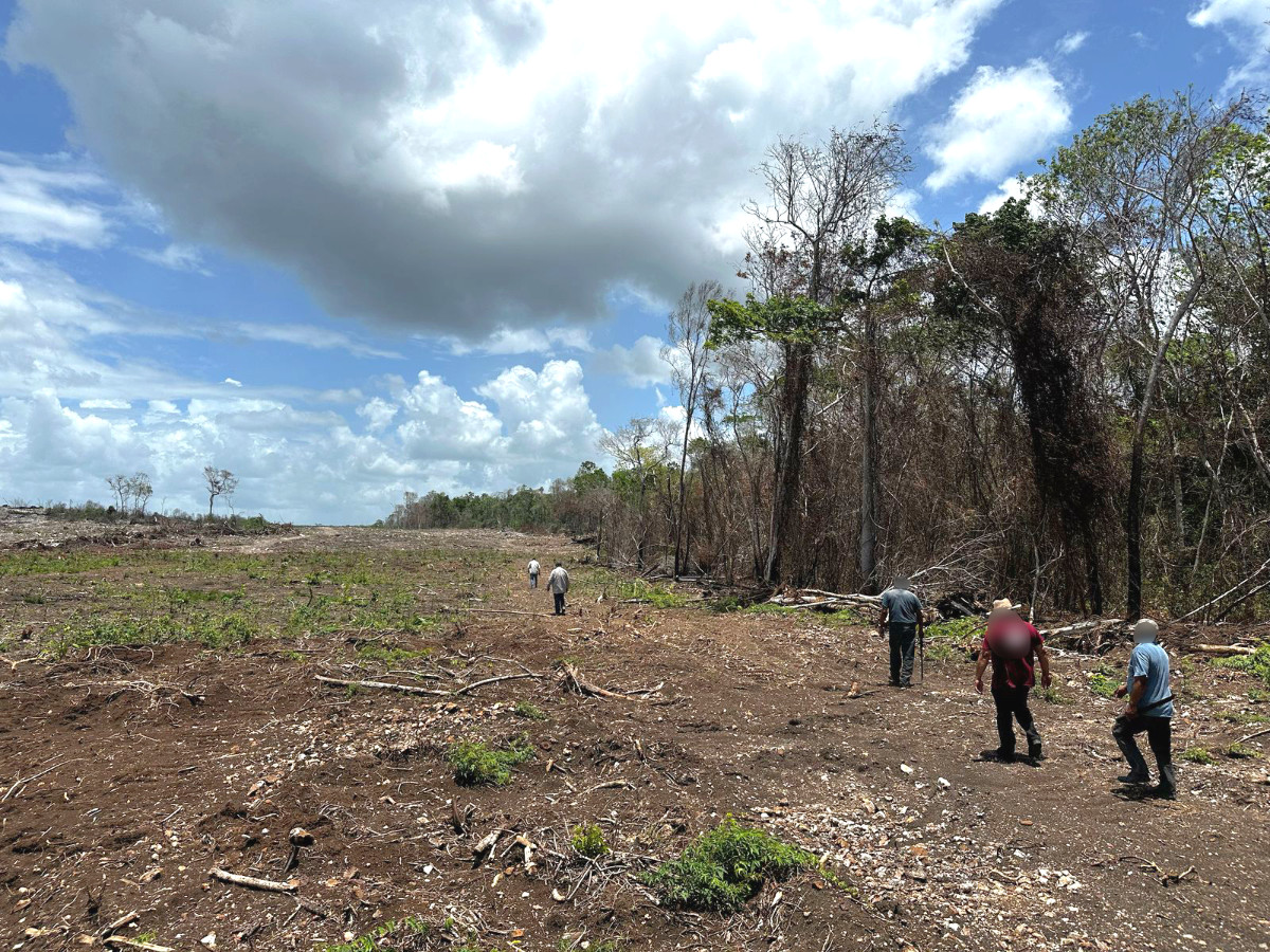 impacto-ambiental-yucatan-agricultura