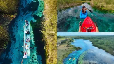 manantiales-pedro-baranda-candelaria-campeche
