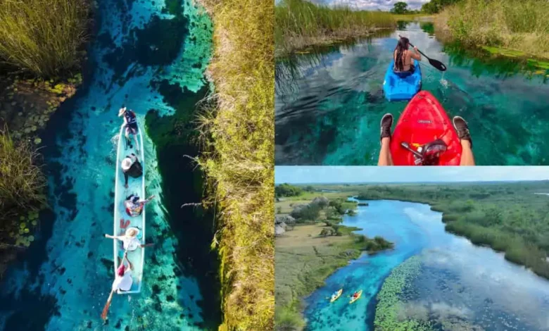 manantiales-pedro-baranda-candelaria-campeche