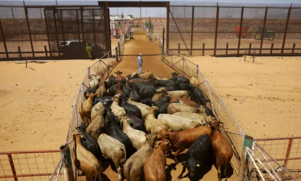 tvazteca brightspotcdn