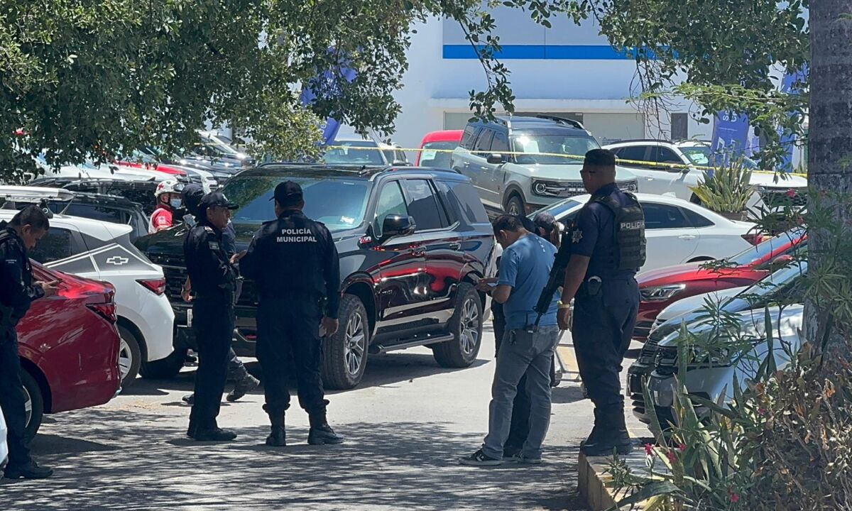 46973d56-93c6-46ff-937a-ba3a716cb5d5