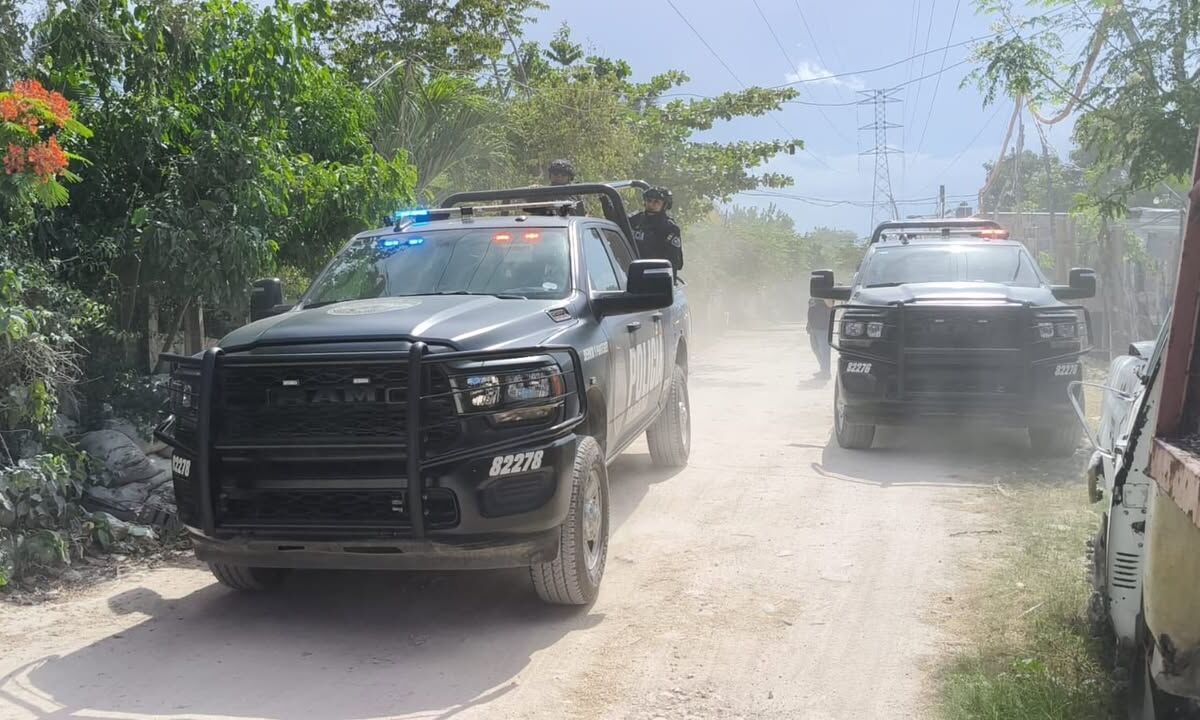 529956537 1303082521827921 7965795498510970742 n