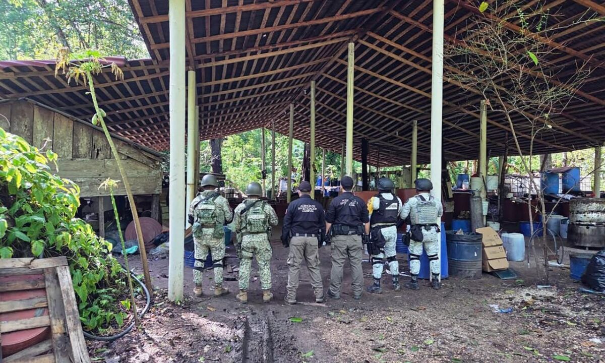 530363297 1173651541453570 6858076634965802547 n