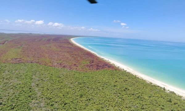 540680016 820150090529463 2236201288180177970 n