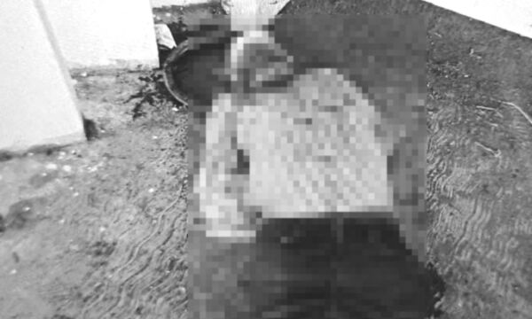 91e33c93-bbb8-406f-a452-ce89c86448f5