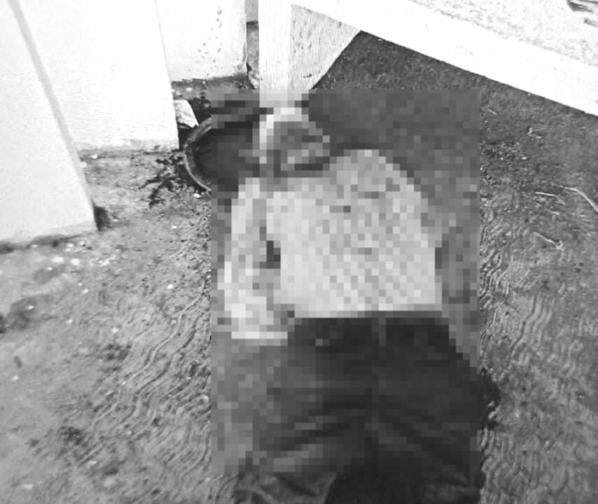 91e33c93-bbb8-406f-a452-ce89c86448f5