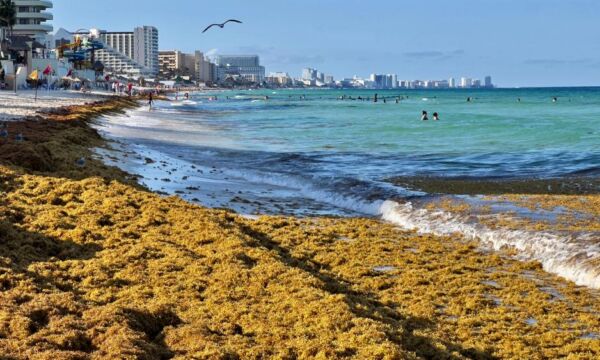 ac90b17e-3ebe-47d8-83fd-f2398c1e830f