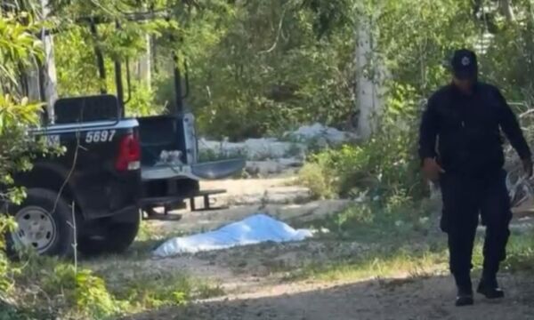 ae975538-ef8b-422f-bb7f-456f009cb5ba