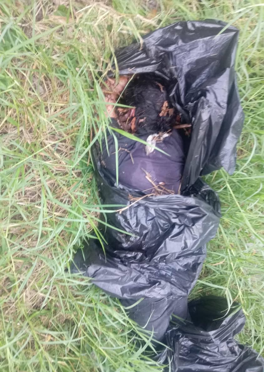 543115331 24268866822812891 2214112096321419311 n