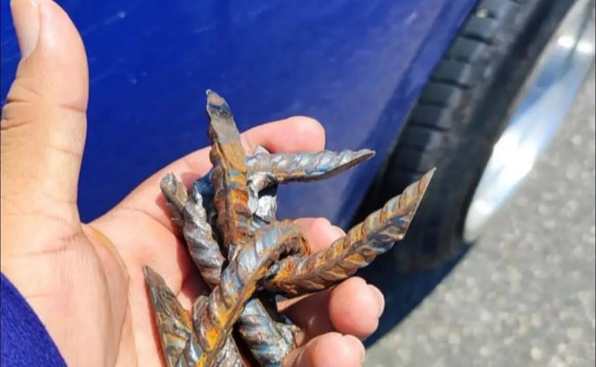 554421110 783994497711337 6673199850928984194 n