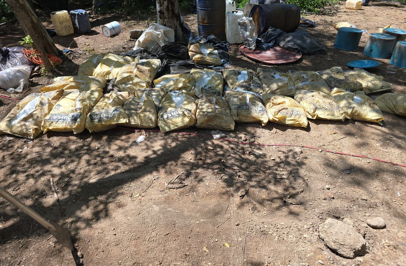 602eec13-8952-43c5-a8a8-038e8e63f828