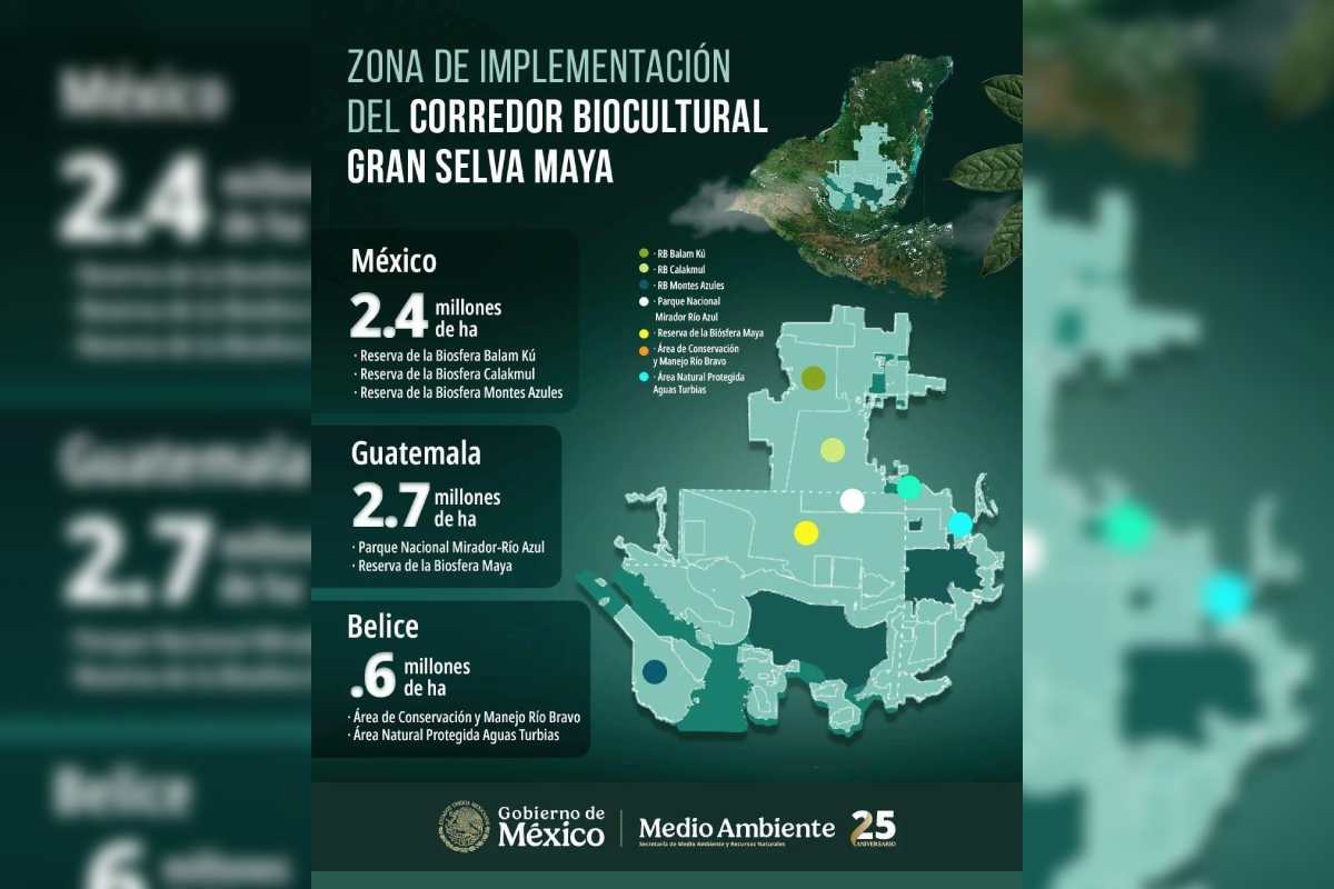 Corredor-selva-maya