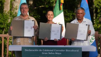 Gran-Selva-Maya-Mexico-Belice-y-Guatemala