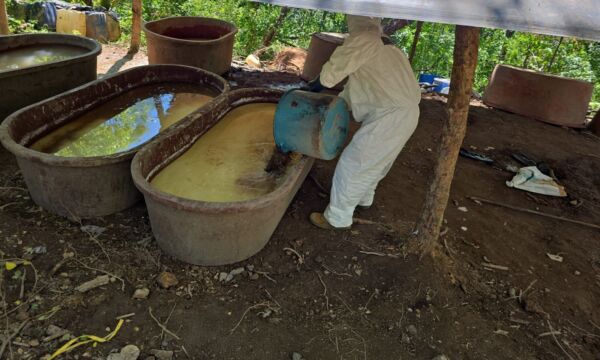 ee69ac3d-09c5-4398-b218-d1aed9c34409