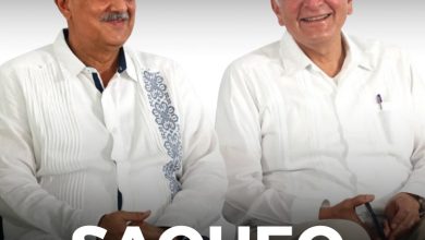 portada 81