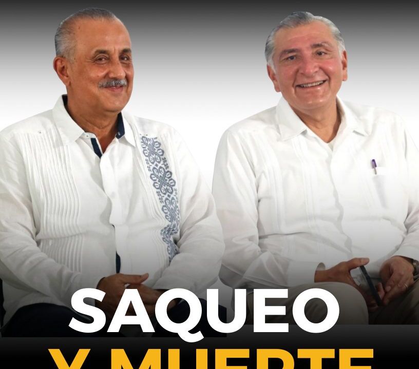 portada 81