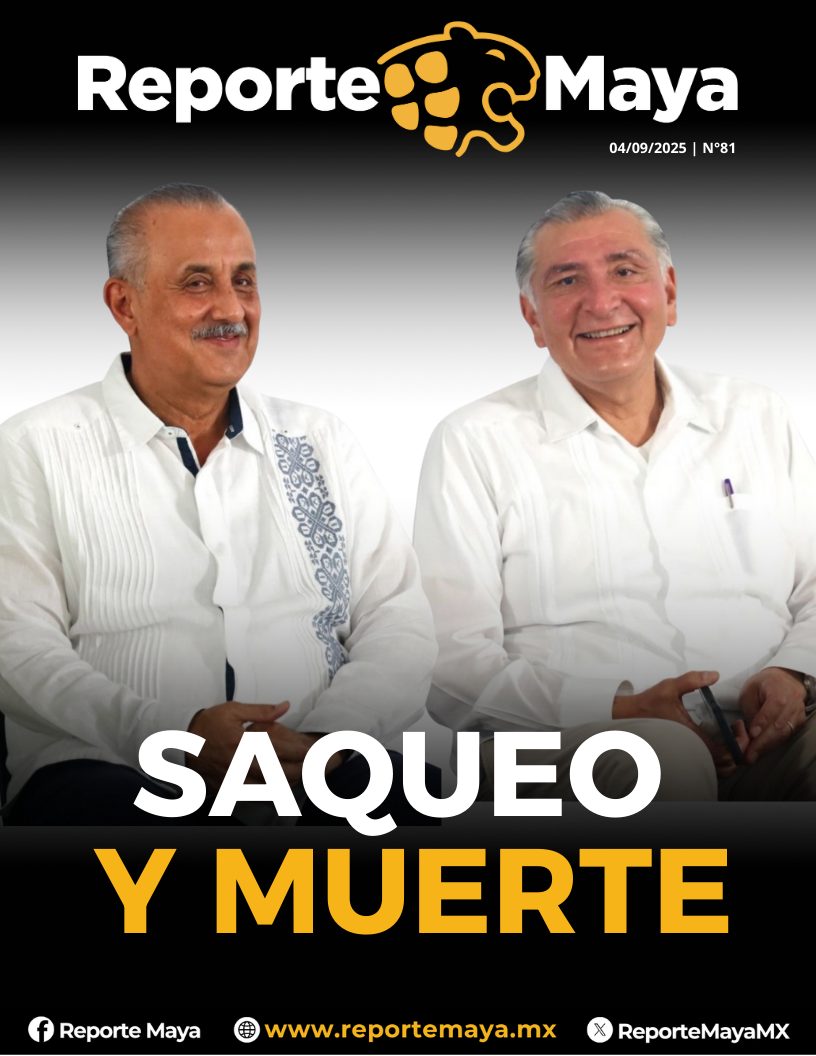 portada 81