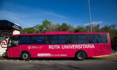 0d231eba-20cc-4eac-a65d-c45673d9f53e