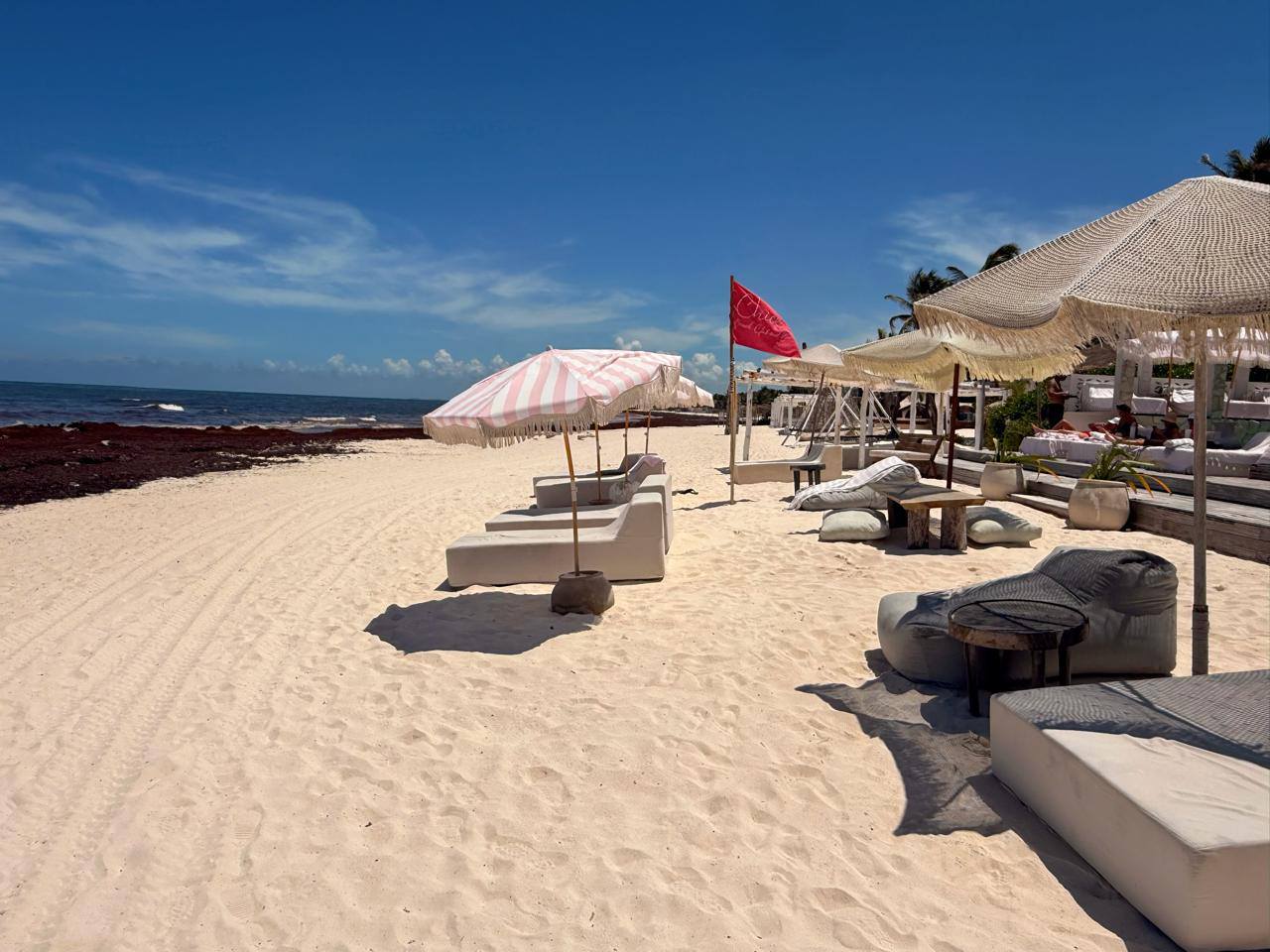 556532754 1249806663855548 1981369530399128577 n