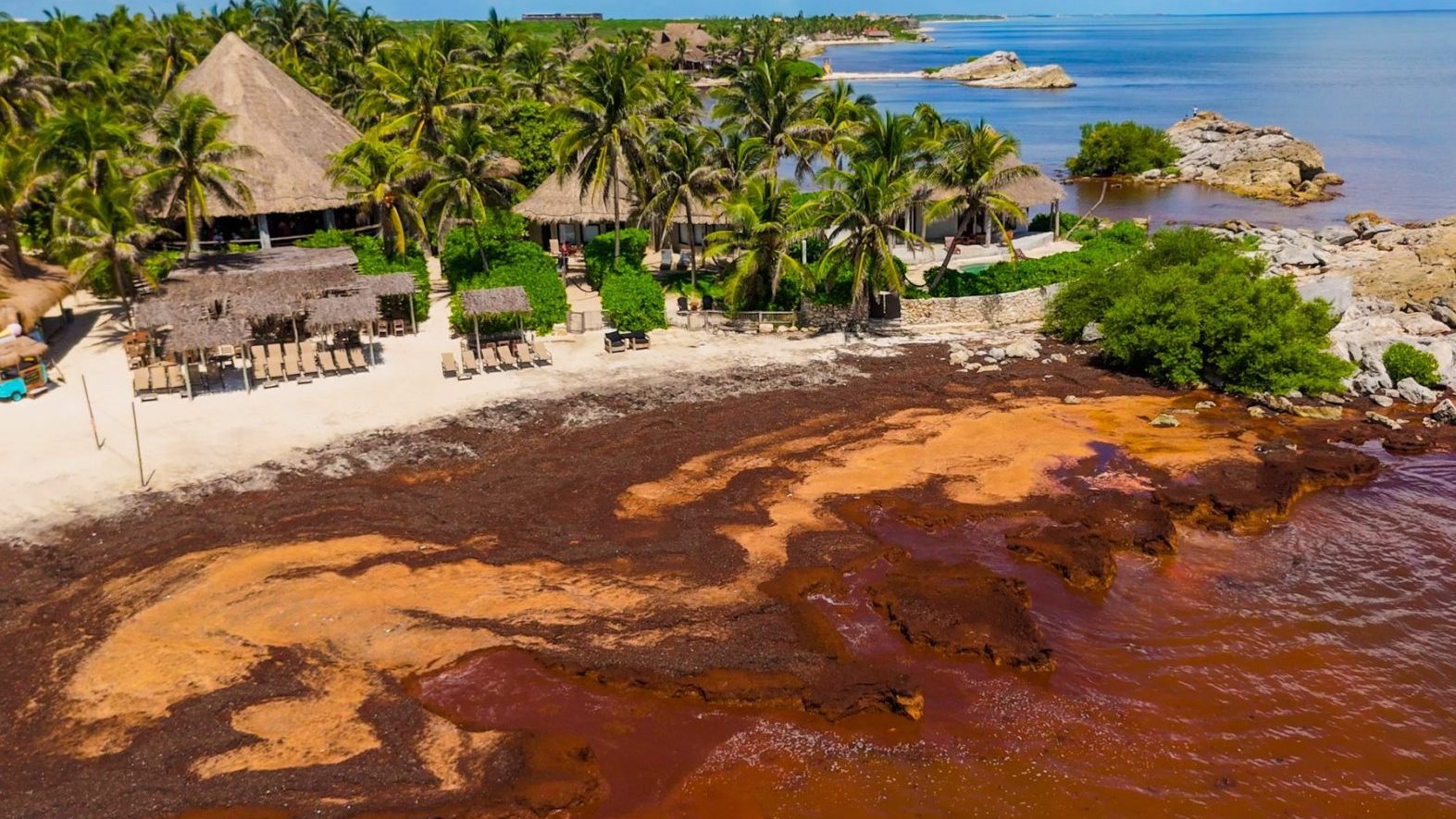 560929322 1489840279306267 8185894442917145529 n