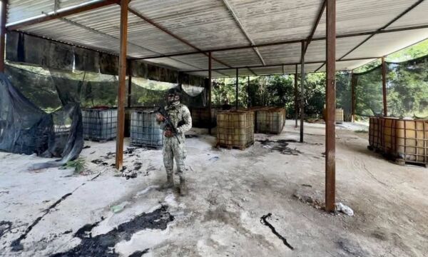 571140738 1456992243098296 444692397811662115 n-1