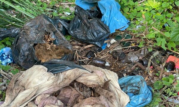 572032209 1287234706752181 8158532121875268300 n