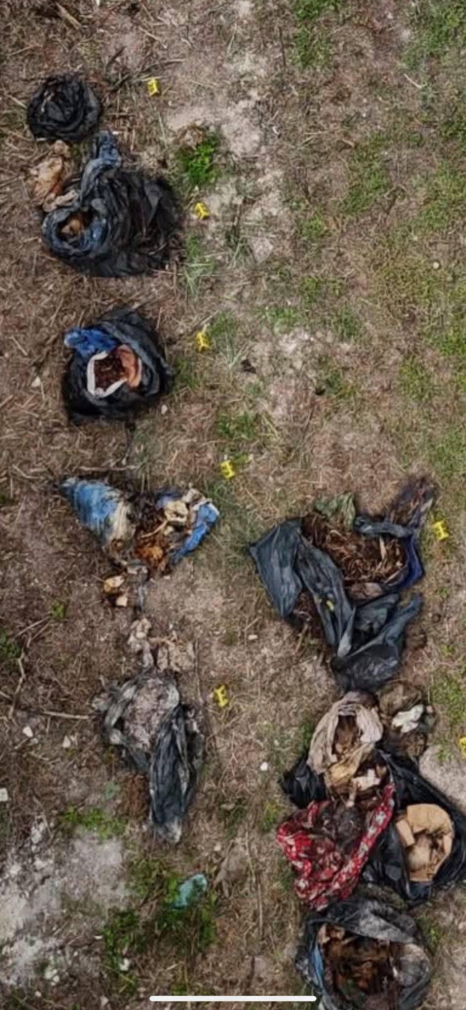 573347416 1242128124608446 4564577399061477413 n