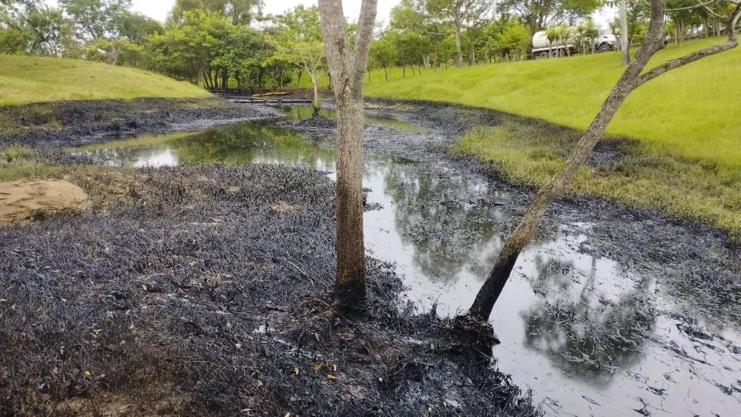 Derrames de petroleo Pemex Ojital Viejo 7 905a214770