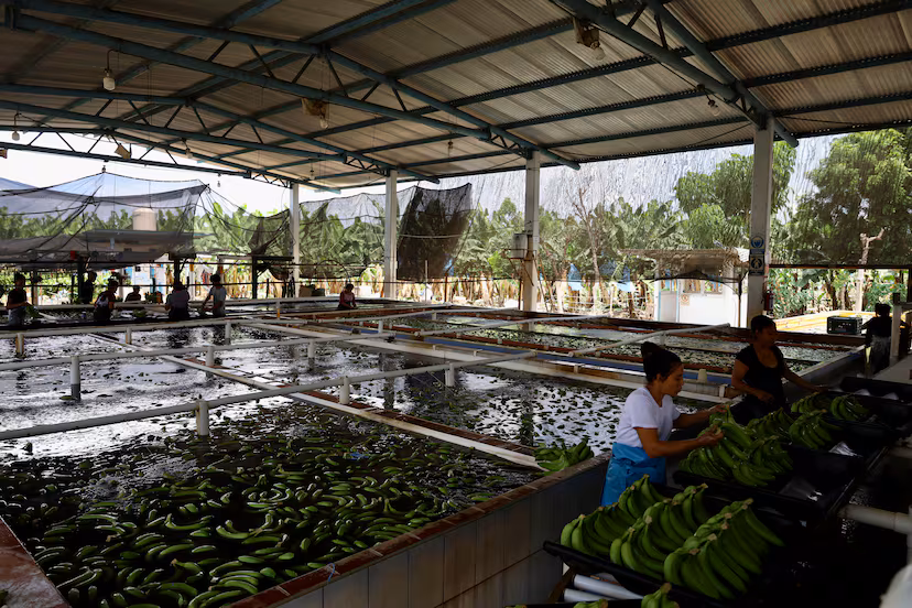 IXFCA47F4NCCTJL7OJBHZIRUYU