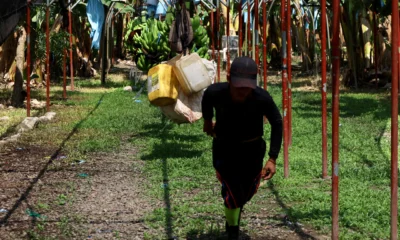 UHD365BWPRDU5C4XL3FCT7OSZM