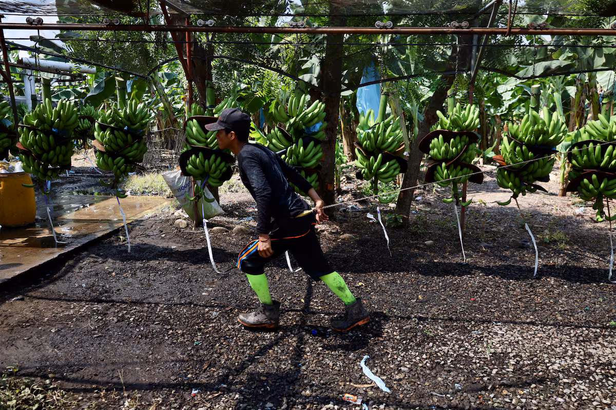 ULLS6YR5YNABPFARK22ZZ56CPU