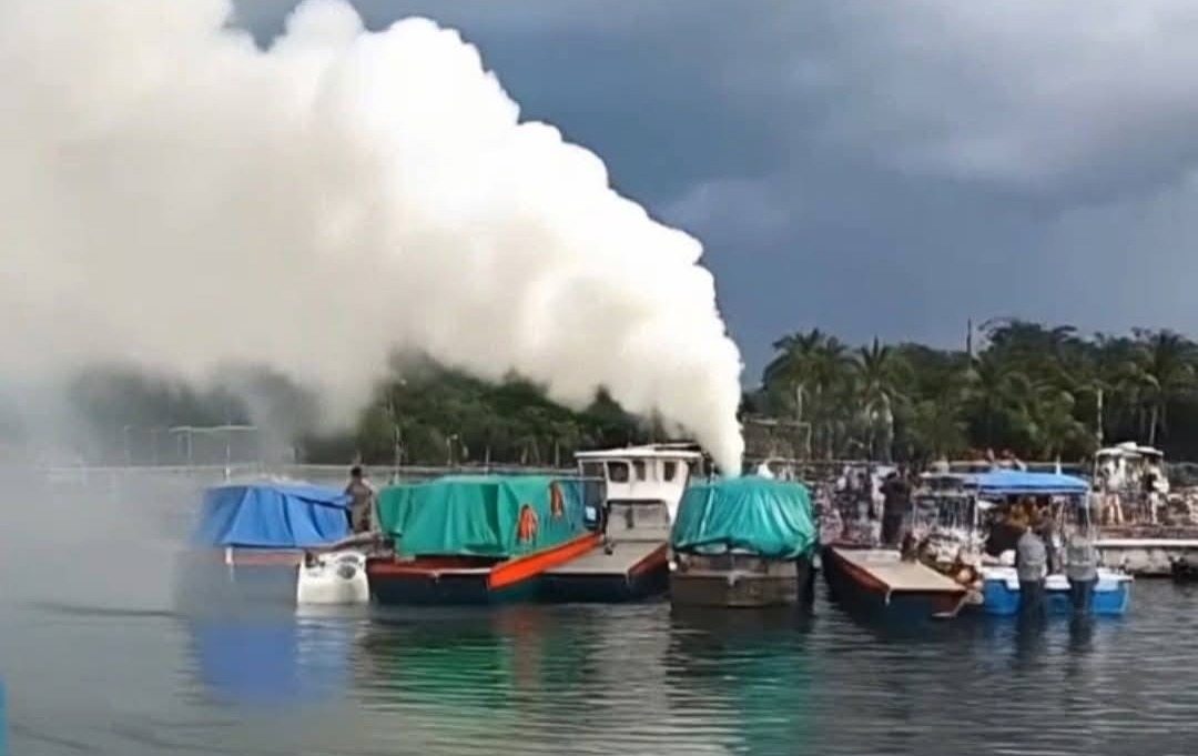 0157b37e-b98e-4f19-8acc-66cd60ef78f1