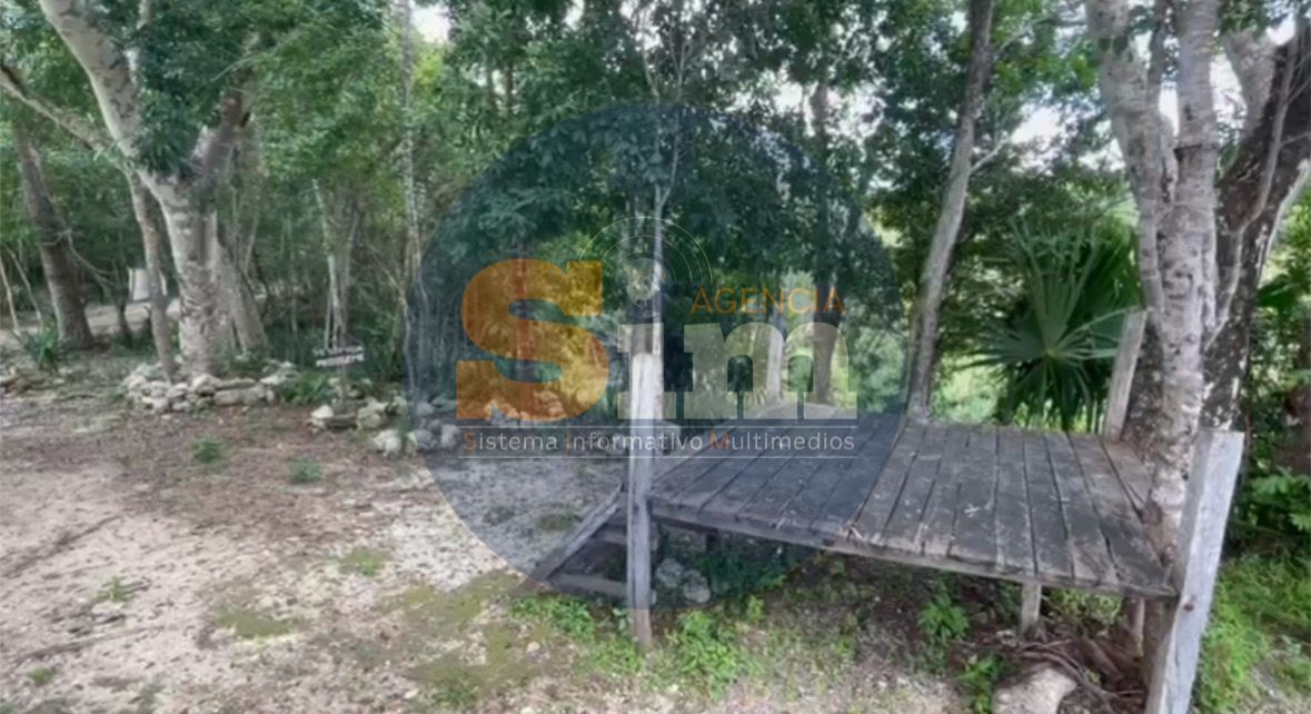 131ef807-3cb3-42c9-9b2a-9c1f97b0f3bf