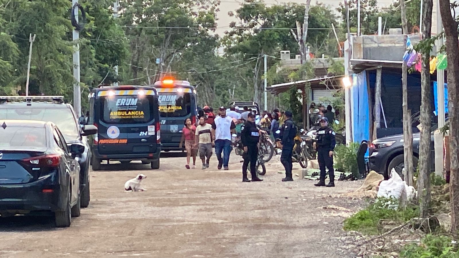 1ef172bc-706e-478e-ad80-495facff4b84