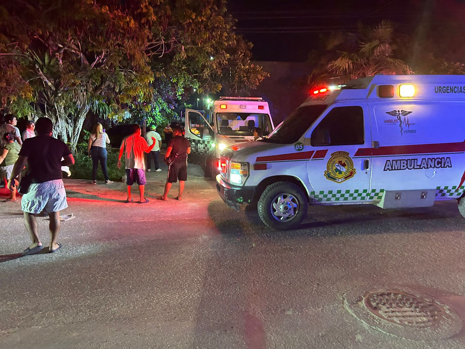 4e3cc6b3-b1db-4f6f-803b-3b66b4a29eea