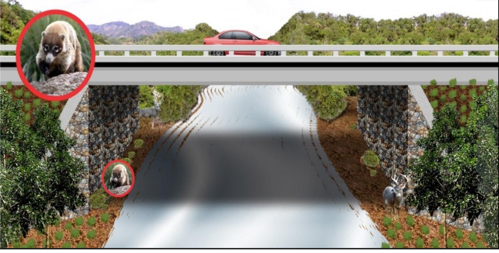 564aa067-7a11-4135-92c4-9e16474480f9