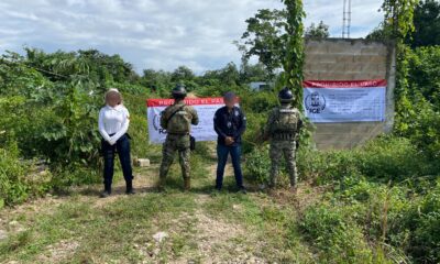 69233af0827f1269557799