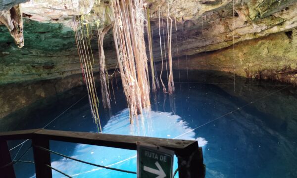 801b5980-fd6f-487c-b63b-6775fc15a466