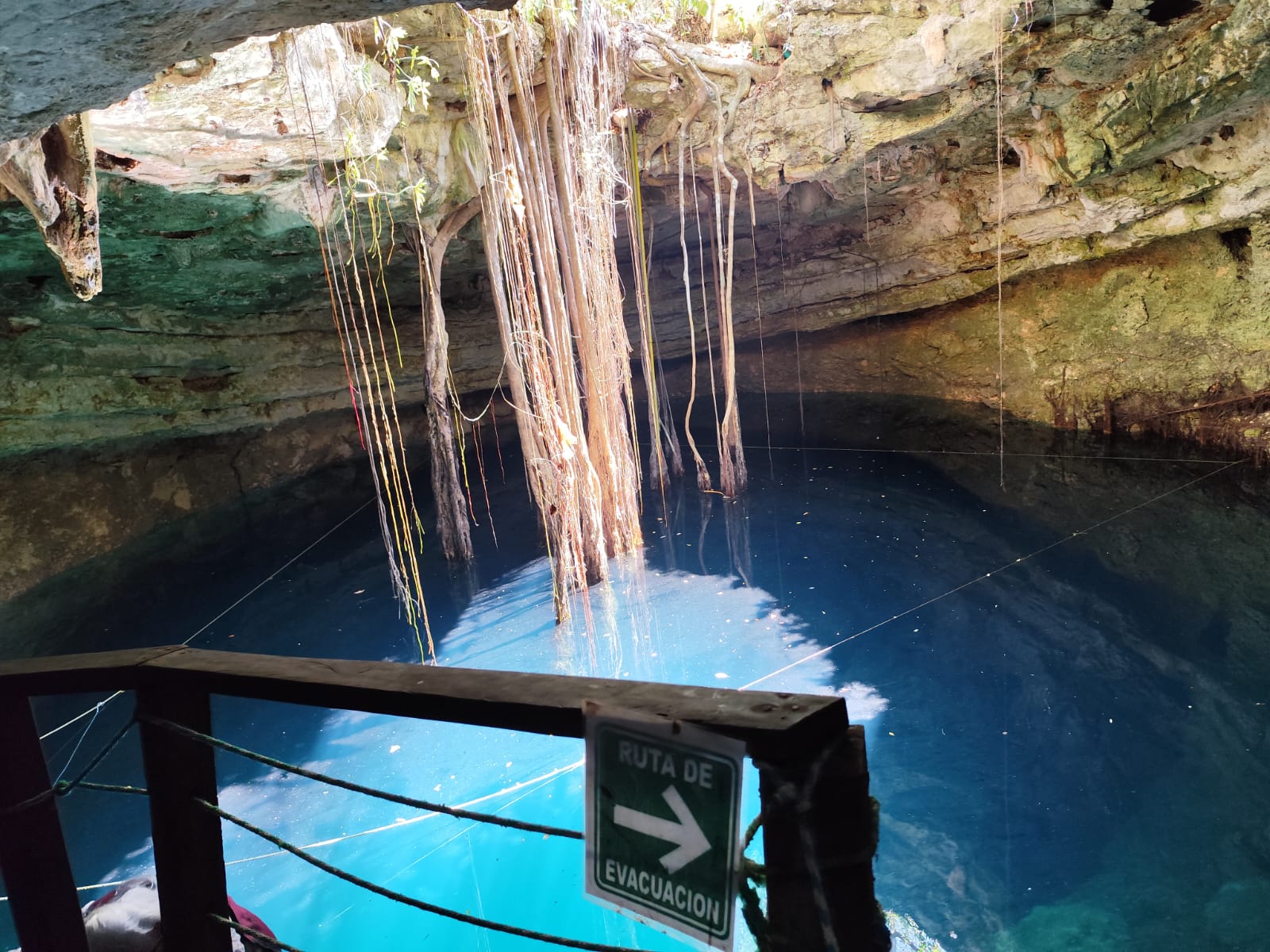 801b5980-fd6f-487c-b63b-6775fc15a466